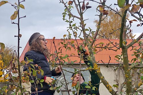 Zwei Personen stehen zwischen Ästen eines Baumes. Eine Person zeigt auf etwas im Baum, die andere hält eine Schere. Im Hintergrund ein Haus mit rotem Dach.