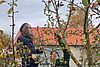Zwei Personen stehen zwischen Ästen eines Baumes. Eine Person zeigt auf etwas im Baum, die andere hält eine Schere. Im Hintergrund ein Haus mit rotem Dach.
