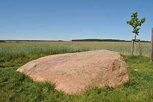 Ein riesiger Stein ragt aus einer Wiese, dahinter ein Feld mit Korn, ein gepflanzter Jungbaum rechts. Und am Horizont steht ein Wald, dahinter blauer, wolkenloser Himmel.