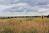 Eine Landschaft mit hohem Gras im Vordergrund und Bäumen und Himmel im Hintergrund. Rechts steht ein Holzpfahl mit einem gelben Schild mit einer Eule und dem Hinweis Naturschutzgebiet.