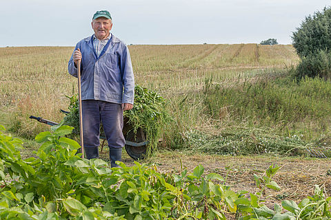 Bauer steht in Arbeitskleidung auf einem gemähtem Feld und hält eine Forke in der Hand. Hinter ihm eine Schubkarre mit Grünschnitt.