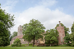 Eine alte Burg aus Back- und Sandstein umgeben von Bäumen vor blauem Himmel.