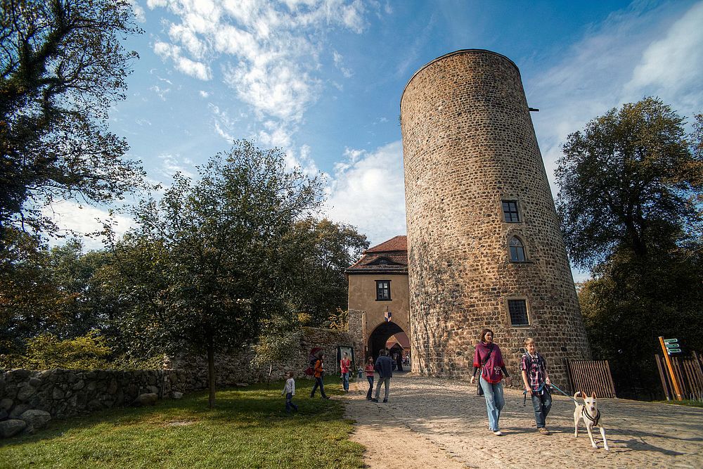 Raben mit Burg Rabenstein - Naturpark Hoher Fläming
