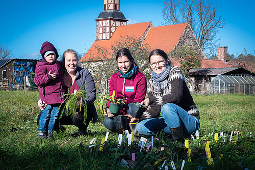 Drei Frauen und ein Kind mit Pflanzen in der Hand auf einer grünen Wiese und vor einer alten Kirche aus Feldsteinen.