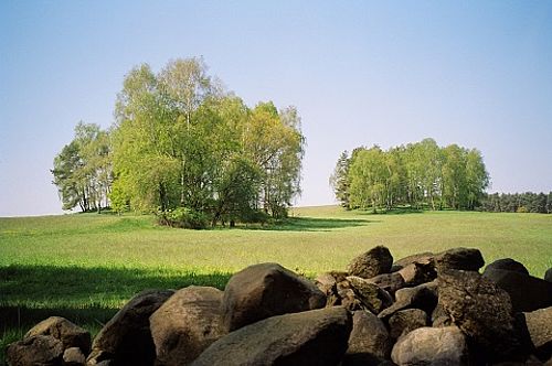 Blick in eine hügelige Landschaft mit grünen Laubbäumen. Im Vordergrund liegt auf Haufen mit unterschiedlich großen Feldsteinen.