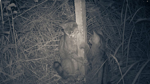 Foto: Naturwacht Hoher Fläming