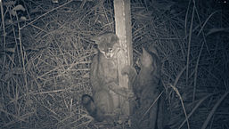 Foto: Naturwacht Hoher Fläming