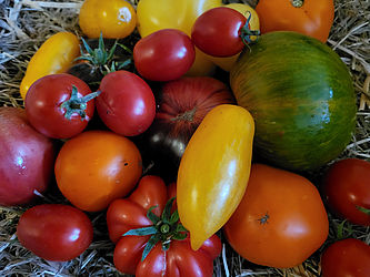 Foto: Bansen-Wittig