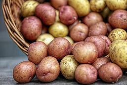 Kartoffelbörse, Foto: Stanbalik by pixabay.com